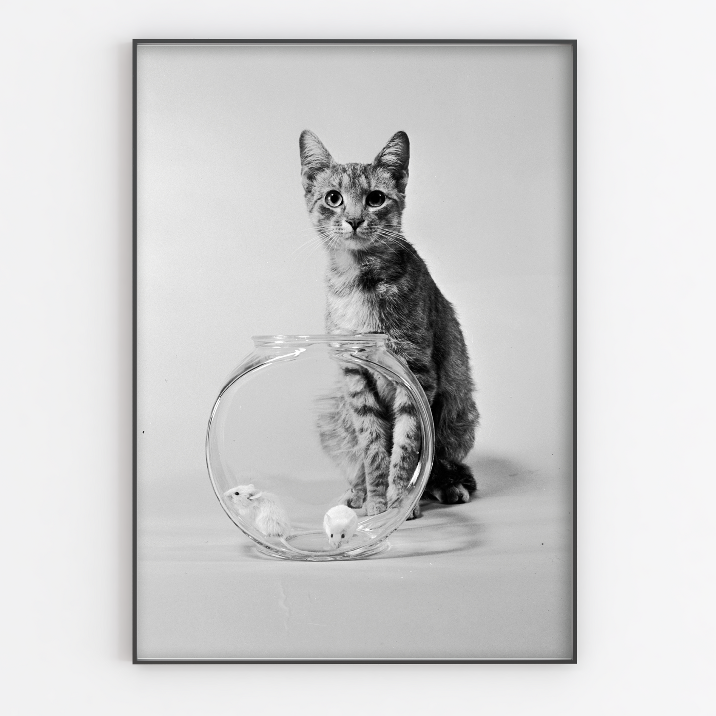 Cat With Mice Bowl Print - Gina Ellen Wall Art
