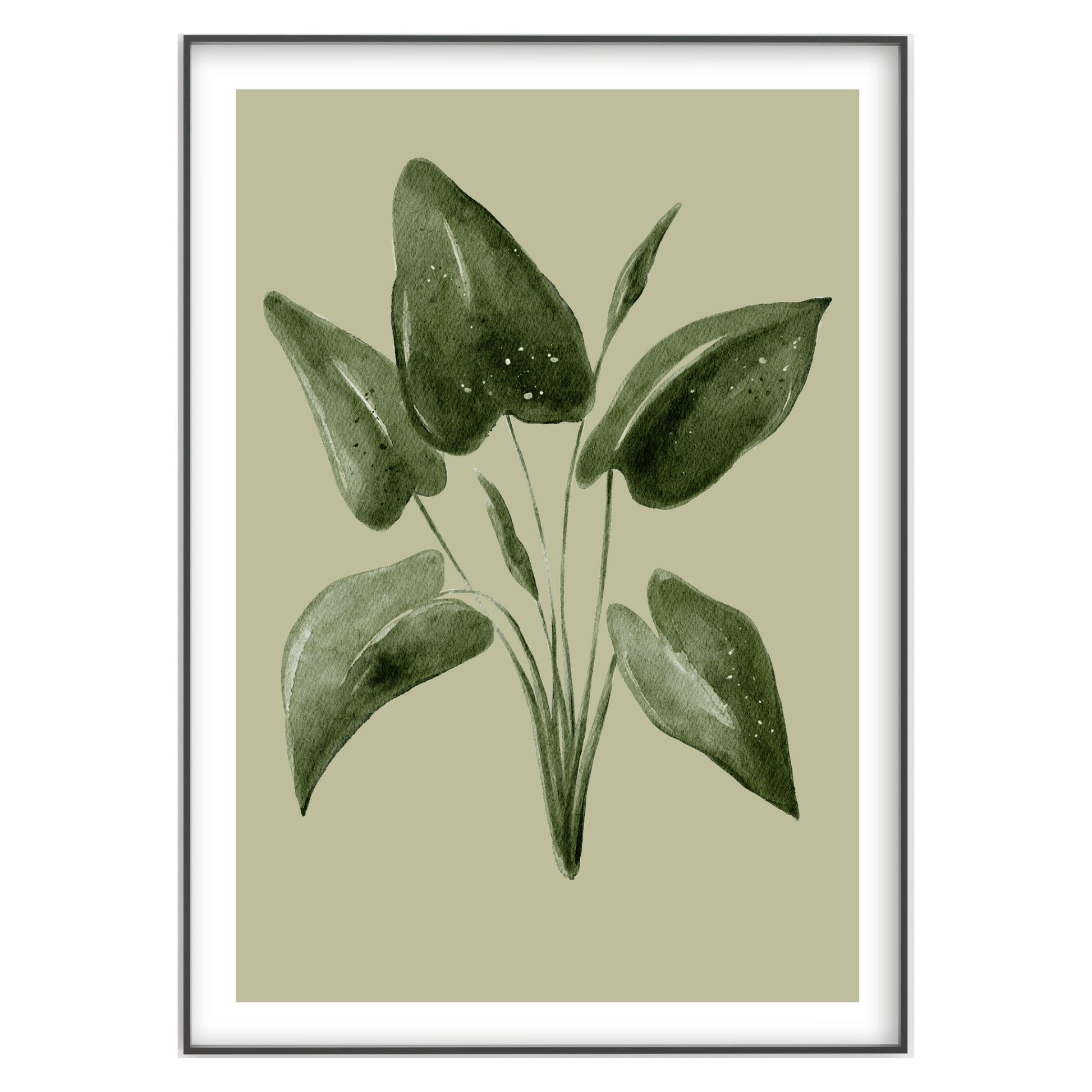 Watercolour Botanical Print - Gina Ellen Wall Art