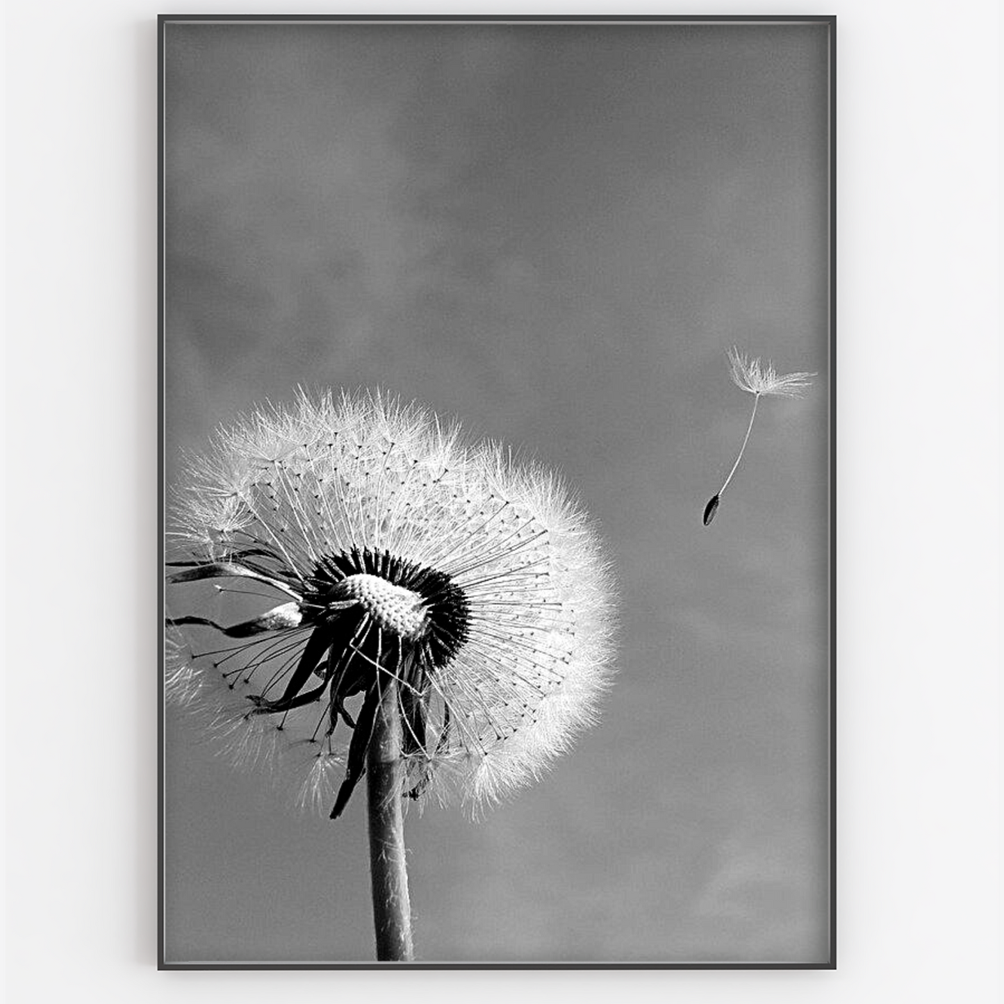 Dandelion Print - Gina Ellen Wall Art