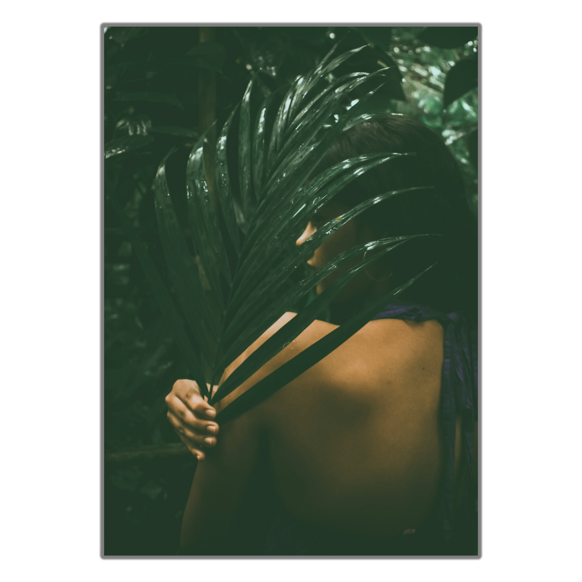 Tropical Dark Green Rainforest Print - Gina Ellen Wall Art