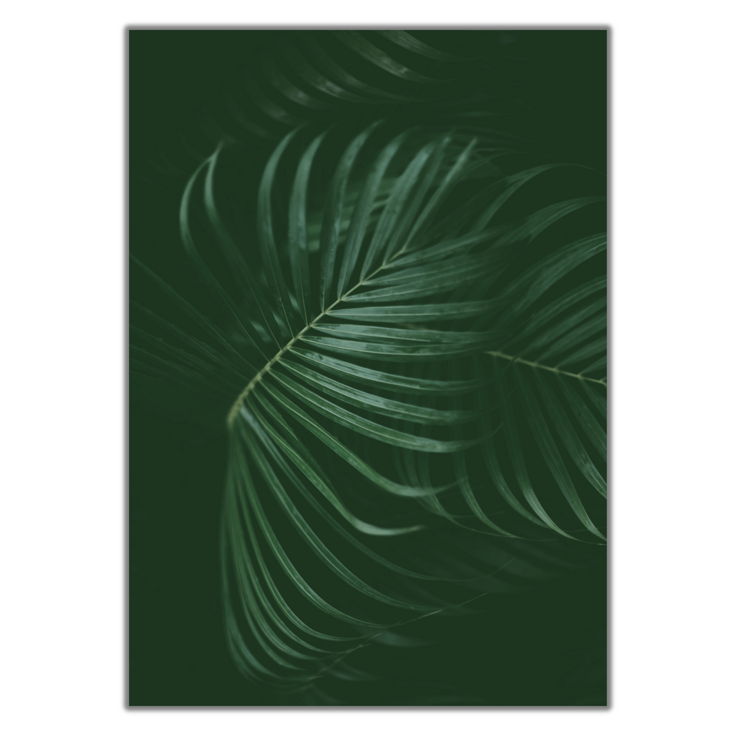 Tropical Dark Green Rainforest Print - Gina Ellen Wall Art