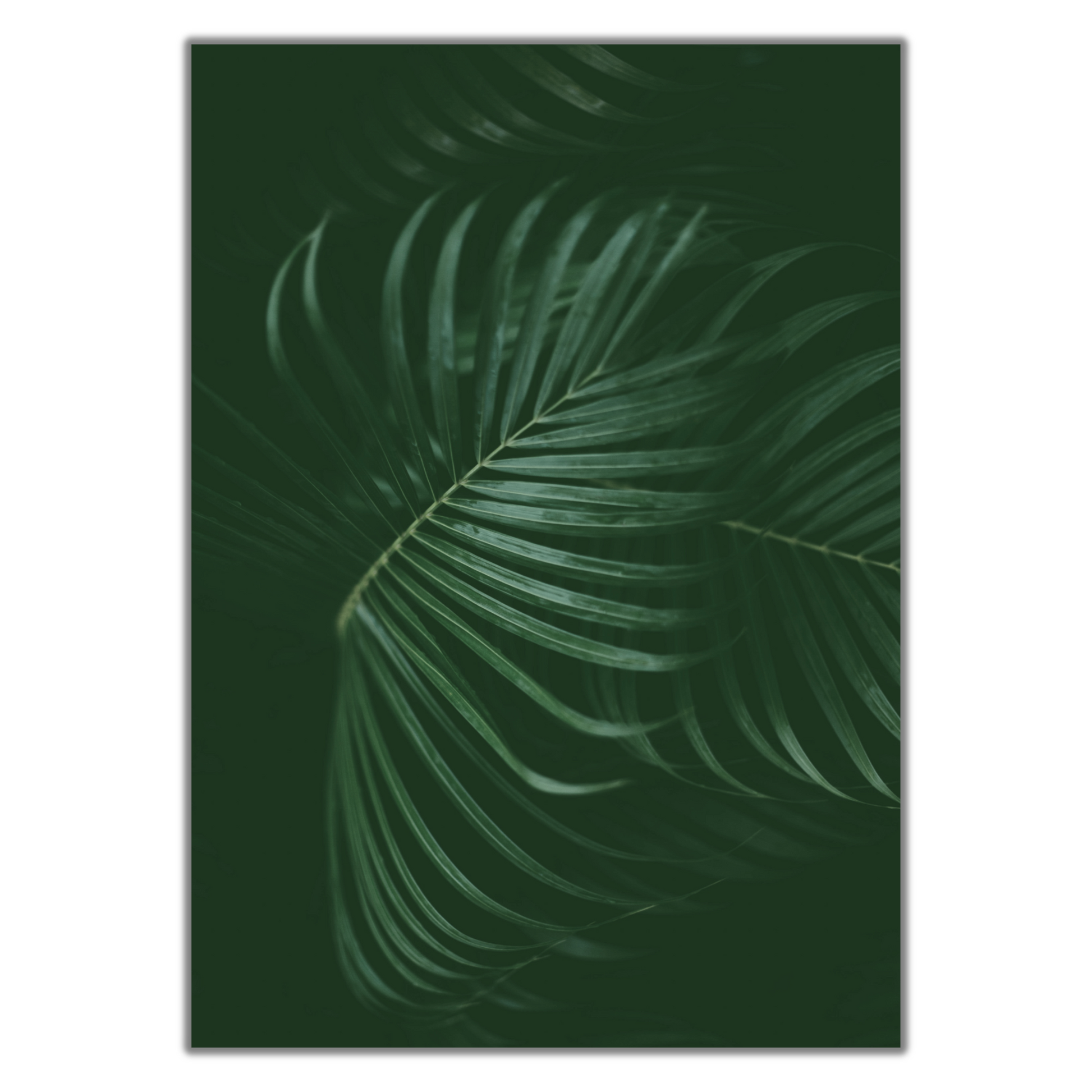 Tropical Dark Green Rainforest Print - Gina Ellen Wall Art