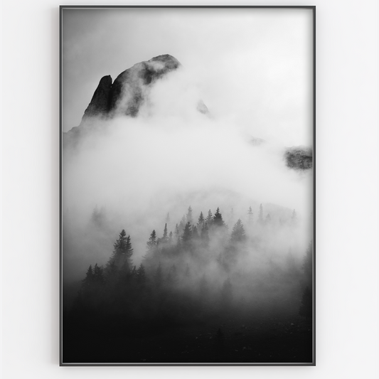 Black and White Misty Landscape - Gina Ellen Wall Art