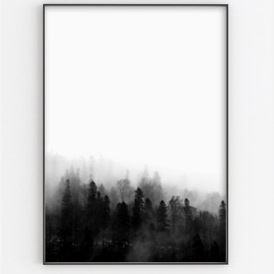 Black and White Misty Forrest - Gina Ellen Wall Art
